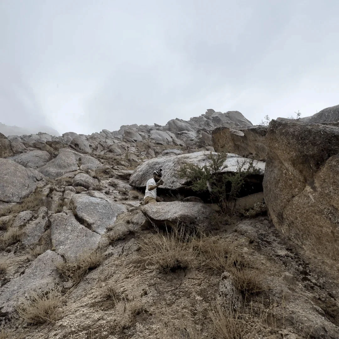 pure himalayan shilajit resin harvested from high altitude mountain rocks