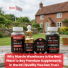 muscle warehouse