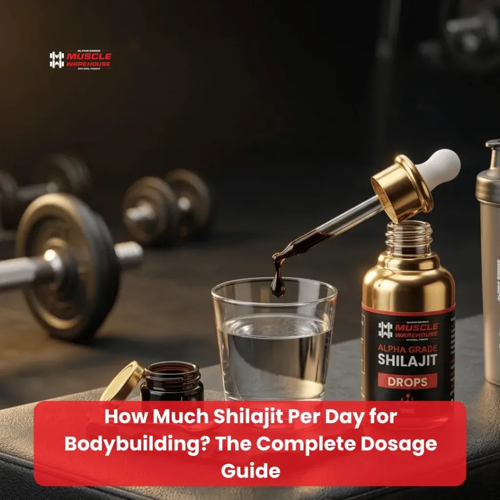Shilajit Per Day for Bodybuilding
