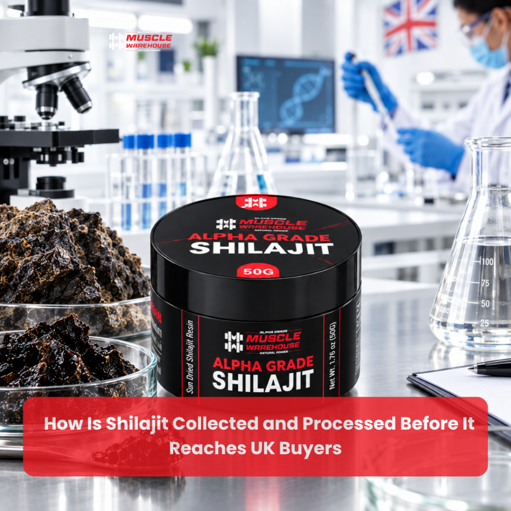 How Is Shilajit Collected and Processed