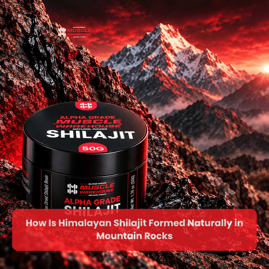 How Is Himalayan Shilajit Formed in Mountain Rocks