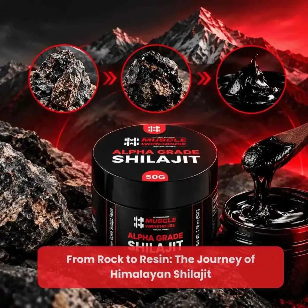 Himalayan Shilajit Journey