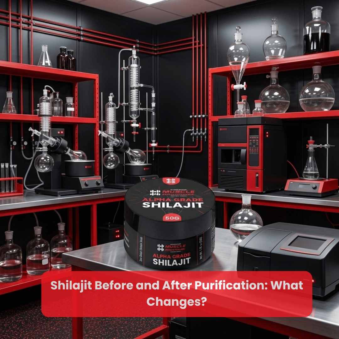 Shilajit Before and After Purification
